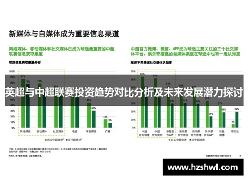 英超与中超联赛投资趋势对比分析及未来发展潜力探讨